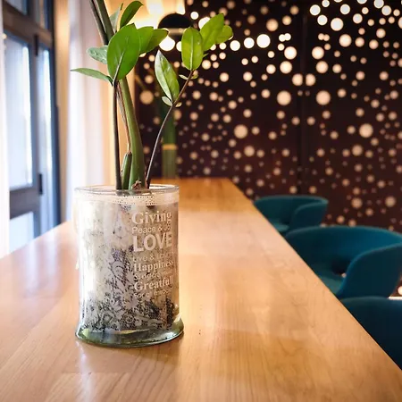 酒店 佩皮尼昂中心美居酒店 4*